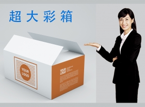 羅蘭印刷藥盒包裝