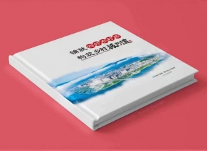 書籍的裝訂形式.旋風(fēng)裝和經(jīng)折裝