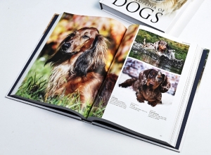 在畫冊設(shè)計(jì)中選擇合適的特種紙？